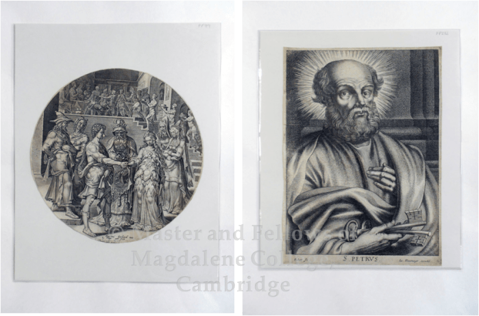 Prints in melinex sleeves